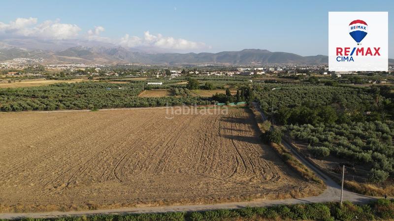 Foto f3430c7d-2cfb-4028-a537-e7eb5b1618d6. Finca rústica a extrarradio 178 a Polideportivo Alhendín
