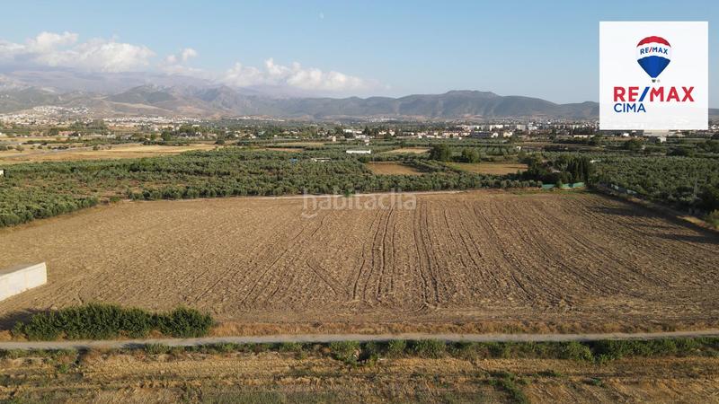 Foto f99f21b1-ac22-4a8f-a4e4-c28696531cb2. Finca rústica a extrarradio 178 a Polideportivo Alhendín