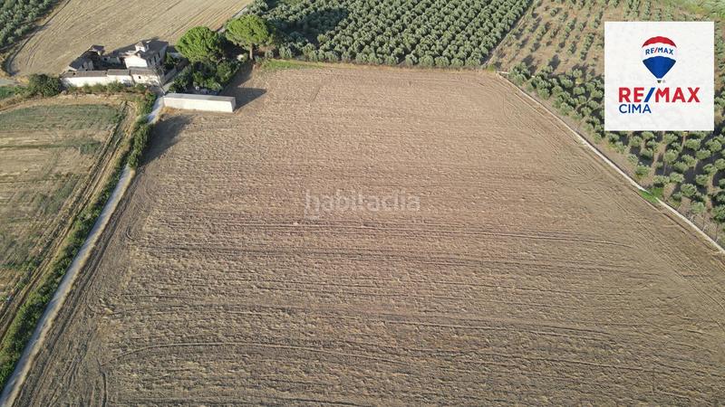 Foto fbae5071-c2ea-4a30-a0bb-45d014dde15b. Finca rústica a extrarradio 178 a Polideportivo Alhendín