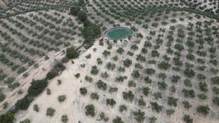 Fondo rustico in Iznalloz. Finca 60 ha de olivos de regadio en iznalloz granada