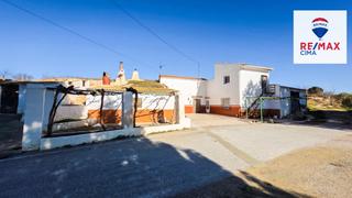 Casa a Cañada morteros 2. Casa cueva con terreno y 120 olivos