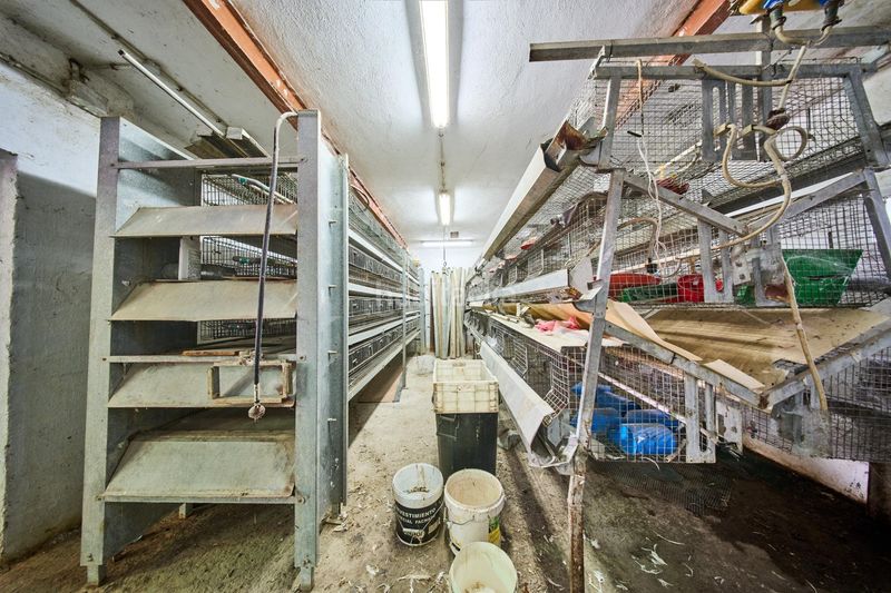 Foto 6e261122-377b-4735-99e2-9458d1227e82. Nau industrial a Atarfe