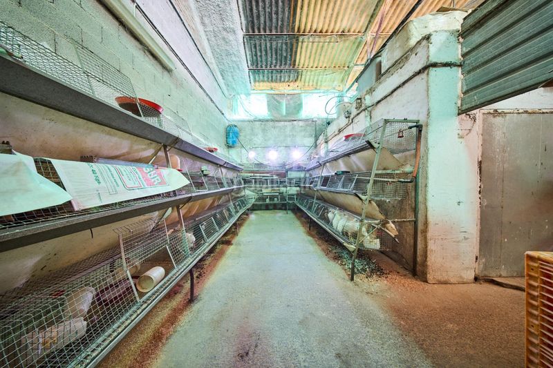 Foto c1ac6e05-f472-4955-bcba-917e664f68e0. Nau industrial a Atarfe