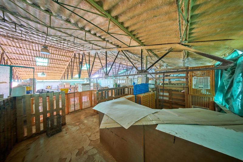 Foto fc2d990d-4899-4c56-83a4-855f487f4ac2. Nau industrial a Atarfe