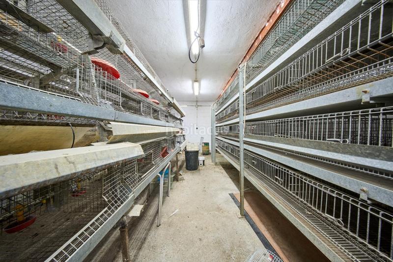 Foto 62bba61d-197c-44e0-a376-da8b44d0ffb0. Fabrikhalle in Atarfe