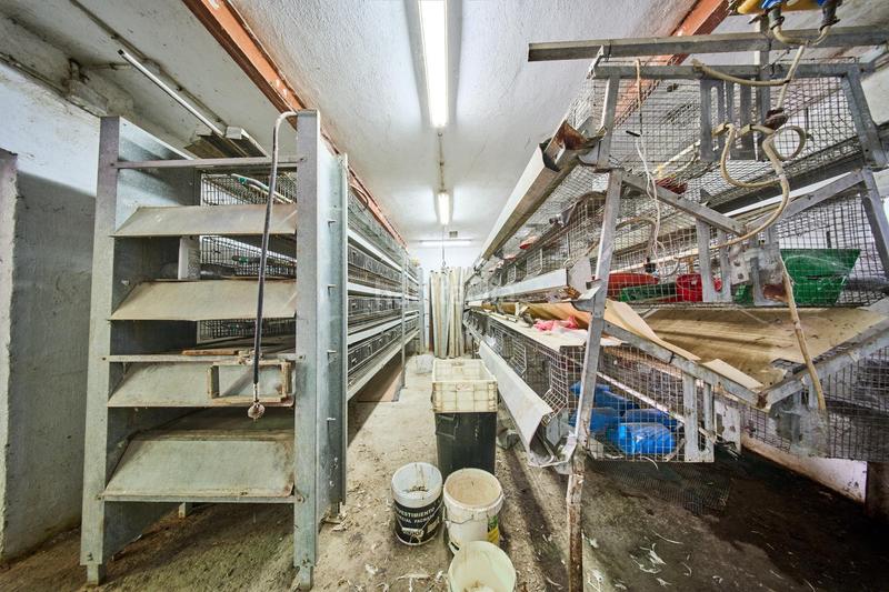 Foto ed08ba76-4993-46c1-ab3f-3a34b7bb3026. Fabrikhalle in Atarfe