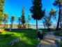 Ampliar foto c9324952-9bb6-4c40-bded-84c78a4e9e99.jpg