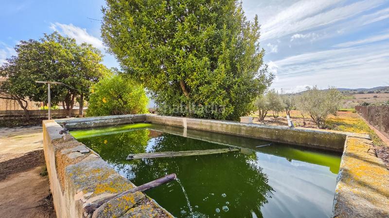 Foto 2754e7fd-9b9a-4565-a2f3-93f0a12ba034. Casa en camino camino cortijo de tarifa finca finca rústica en vertientes, baza country home in vertientes, baza en Cúllar