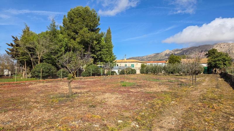 Foto 53079ba3-0859-4387-97d6-78acad230bfe. Casa en camino camino cortijo de tarifa finca finca rústica en vertientes, baza country home in vertientes, baza en Cúllar
