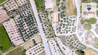 Finca rústica  Barrio barrio nuevo. Se vende finca de olivos y casa en construcción en castilléjar