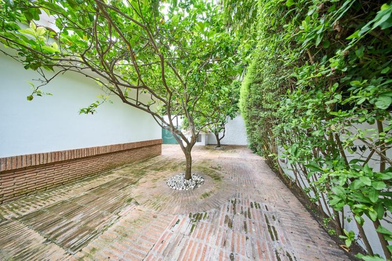 Foto 56d3c4a5-7949-48ee-8b8b-06fba628862d. Xalet amb calefacció aparcament piscina a Los Monteros Marbella