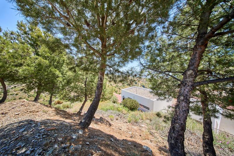 Foto 2cc5311d-70db-4a80-ba9d-56f2d6d75ec7. Terrain résidentiel dans camino sierra nevada 70 dans Albondón