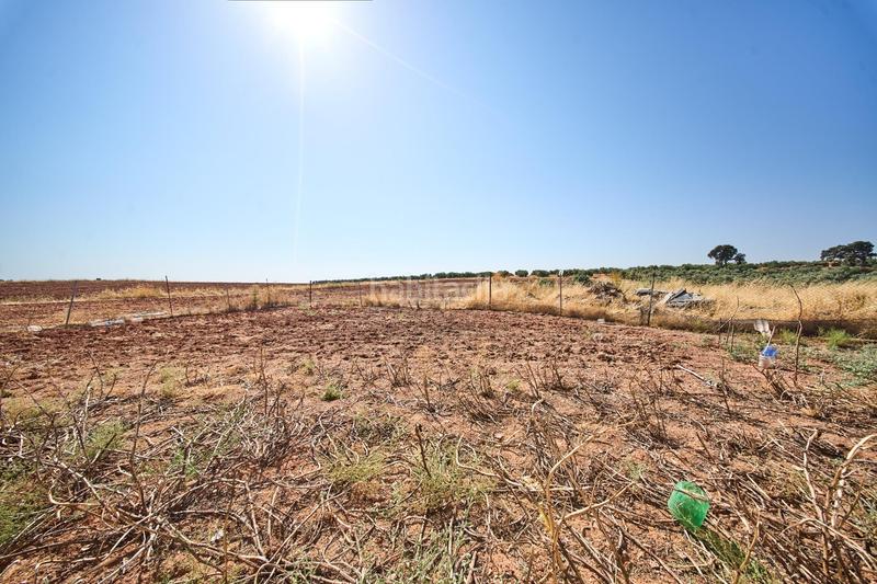 Foto 01247892-3d40-4bc0-b814-abf988c7b974. Terreno residencial en autovia diseminados oportunidad estratégica única en andalucía suelo industrial prime en Carolina (La)