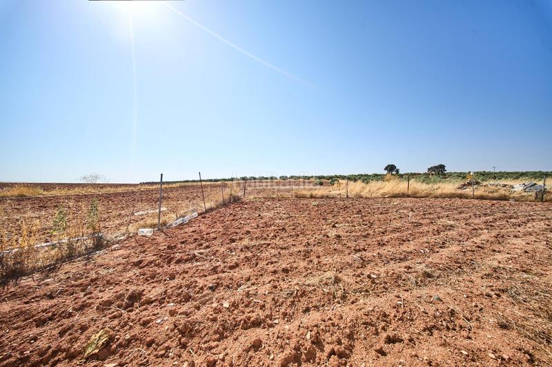 Foto 0e83eb2d-1ebf-444f-b61f-3c1fc7e29c87. Terreno residencial en autovia diseminados oportunidad estratégica única en andalucía suelo industrial prime en Carolina (La)