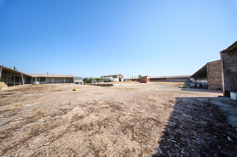 Foto 6c972587-dbd0-4eeb-ad64-43d40515bc43. Terreno residencial en autovia diseminados oportunidad estratégica única en andalucía suelo industrial prime en Carolina (La)