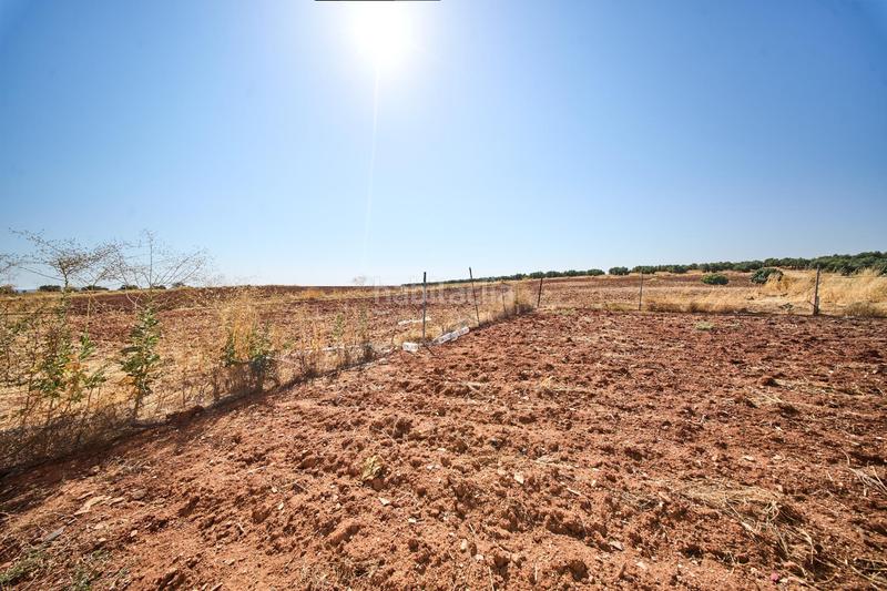 Foto 772d9cc6-d70d-48a5-805f-41150a1741bd. Terreno residencial en autovia diseminados oportunidad estratégica única en andalucía suelo industrial prime en Carolina (La)
