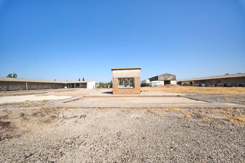 Foto caa53c2d-3815-4589-ba8c-82e5eaab543b. Terreno residencial en autovia diseminados oportunidad estratégica única en andalucía suelo industrial prime en Carolina (La)