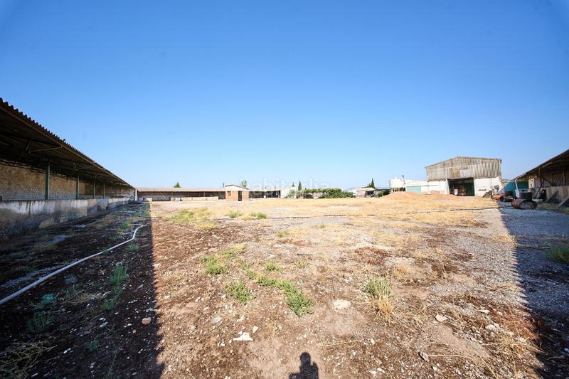 Foto e624495a-d80f-401e-a8eb-5b9cafed4c1b. Terreno residencial en autovia diseminados oportunidad estratégica única en andalucía suelo industrial prime en Carolina (La)