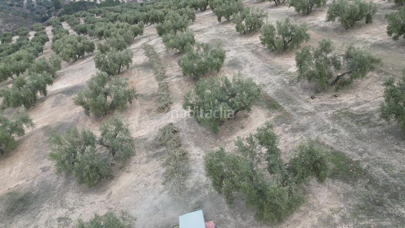 Foto 0a8a7a14-96f8-4802-9964-5ff365b1fe67. Masia amb aparcament a Iznalloz