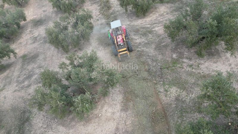 Foto 1c4e46b7-b2c7-41f4-999e-18512e506d76. Masia amb aparcament a Iznalloz