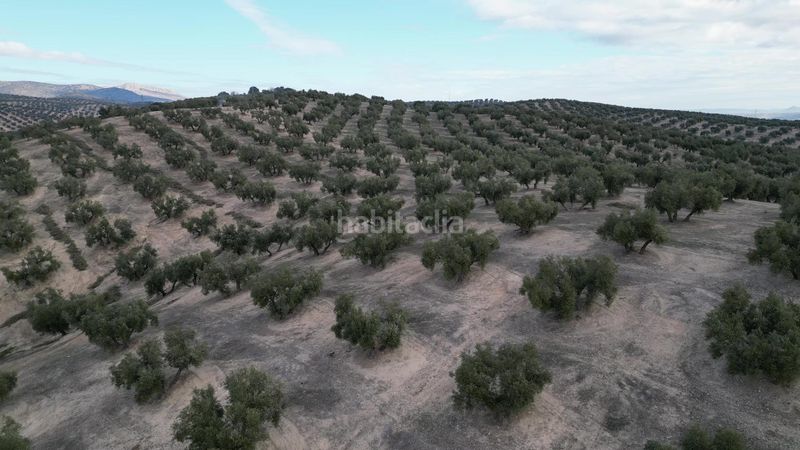 Foto 67a700dd-7fdb-46fe-8f8d-6167b443e832. Masia amb aparcament a Iznalloz