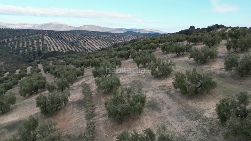 Foto 9ff5349d-b8a1-4b4b-abeb-466b2d6d410a. Masia amb aparcament a Iznalloz