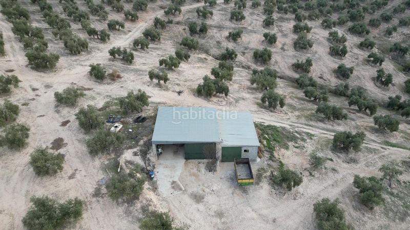 Foto d2d979da-37a6-4eb5-9159-ed075bb4765d. Masia amb aparcament a Iznalloz