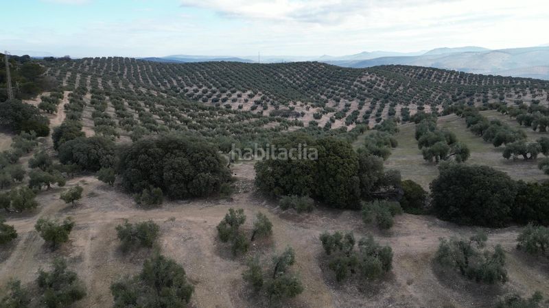 Foto dbe2acee-ec60-49dd-8aa1-2606ab6a1af7. Masia amb aparcament a Iznalloz