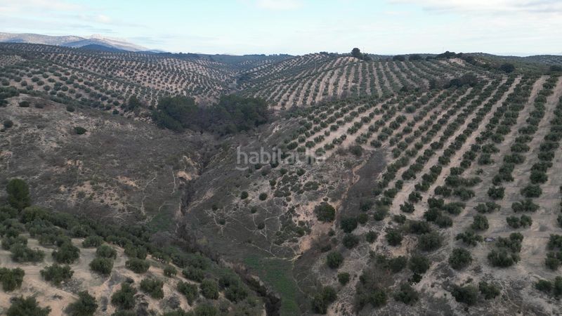 Foto f671f4b2-bbf4-4abb-be57-cb5b54e3c3e6. Masia amb aparcament a Iznalloz
