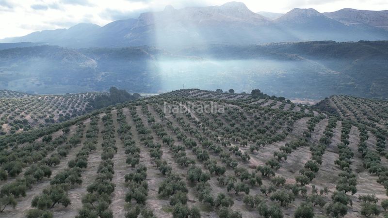 Foto f96f17e4-b6ad-4de3-ab34-cf7f7e1297d3. Masia amb aparcament a Iznalloz
