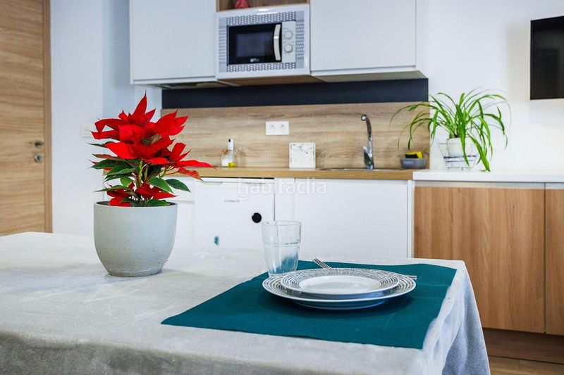 Foto 5f04953e-4cf7-427e-9390-5c2a846780bc. Estudi a San Ildefonso Granada