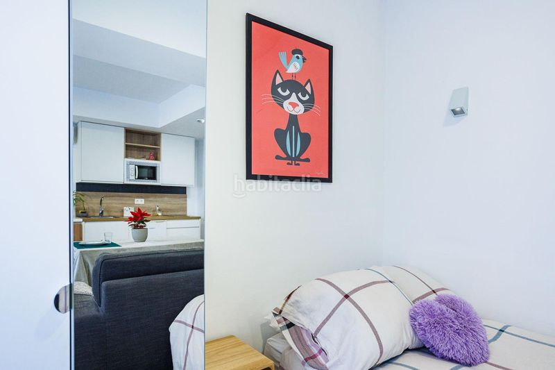 Foto fa012eba-aa07-4be2-97af-23ec092ccf79. Estudi a San Ildefonso Granada