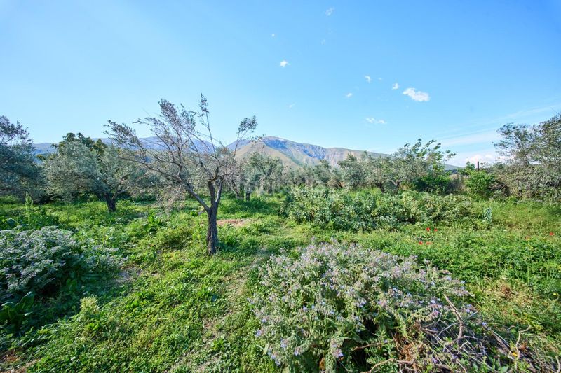 Foto 13825279-66fa-4e1c-bafb-f4079845984c. Masia a Cáñar