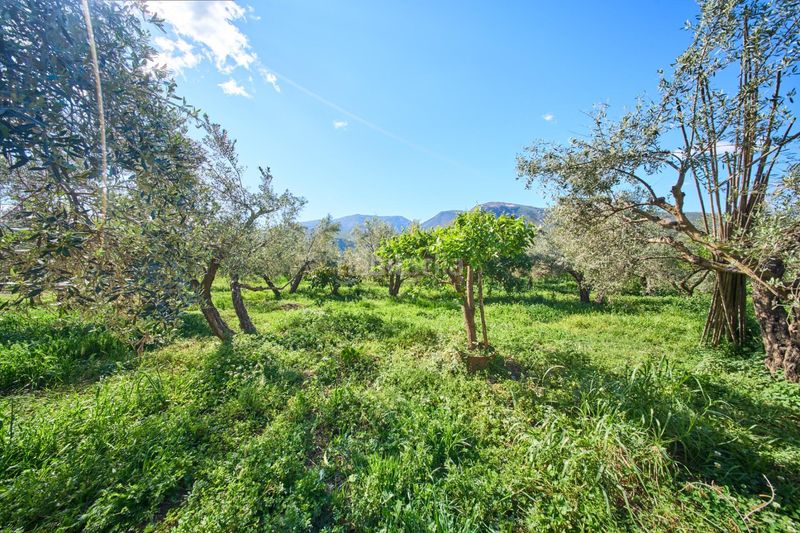 Foto 217dc6f1-5e22-4dc9-b97b-b11d22333d93. Masia a Cáñar