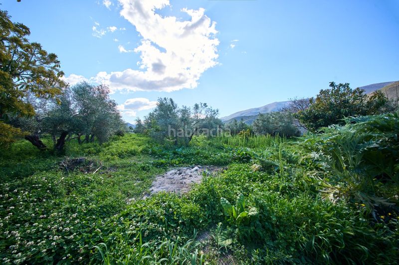 Foto 23586539-3040-4e1d-9419-58eb4b2f8f49. Masia a Cáñar