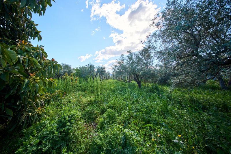 Foto 328be641-e61c-4d54-b808-61e65f226a74. Masia a Cáñar