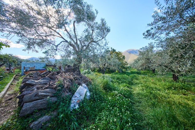 Foto 35c4a78f-7f41-4c49-999b-ecb9e8d4b1ce. Masia a Cáñar