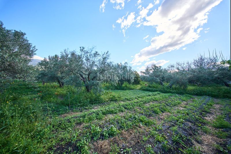 Foto 8597ff49-1a5c-4538-9e4a-73561ffdb3c9. Masia a Cáñar