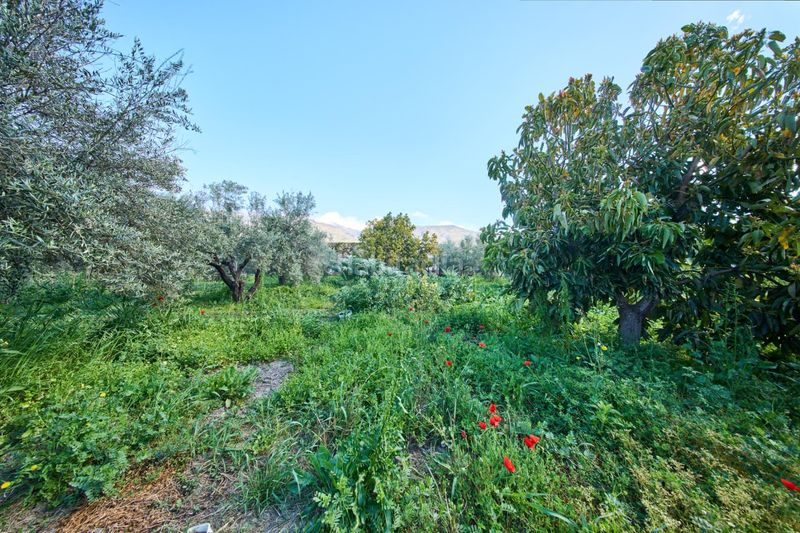 Foto c240ff27-ab9a-49db-8921-49c6e3724a70. Masia a Cáñar