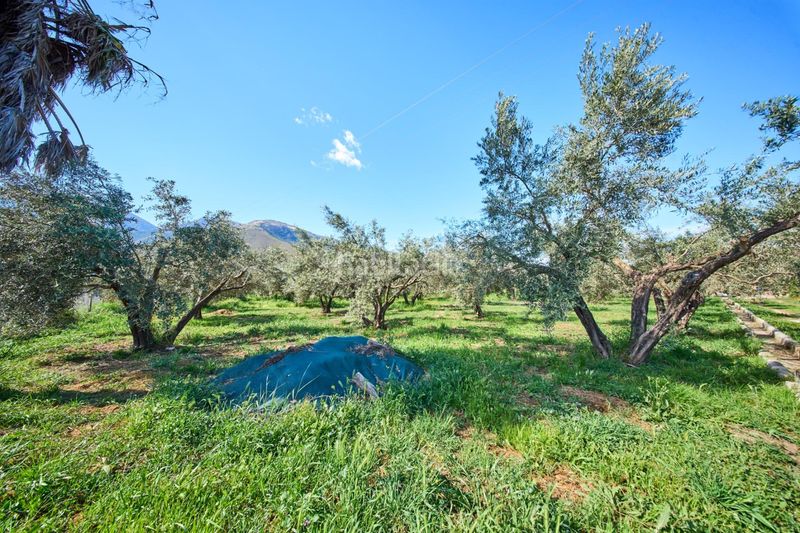 Foto e5884558-7154-4b70-a3af-af785670a45a. Masia a Cáñar