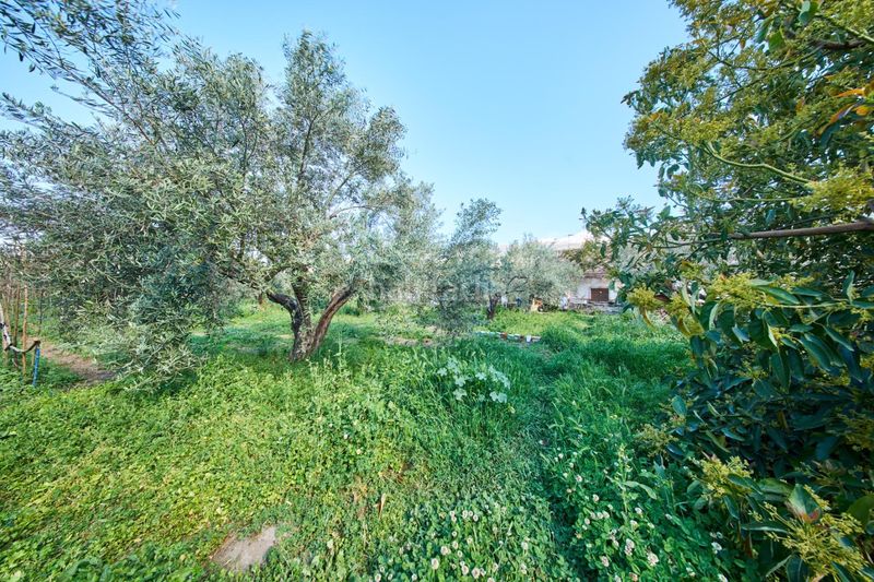 Foto e7dca6c7-948f-4289-b8e7-ba357377599b. Masia a Cáñar