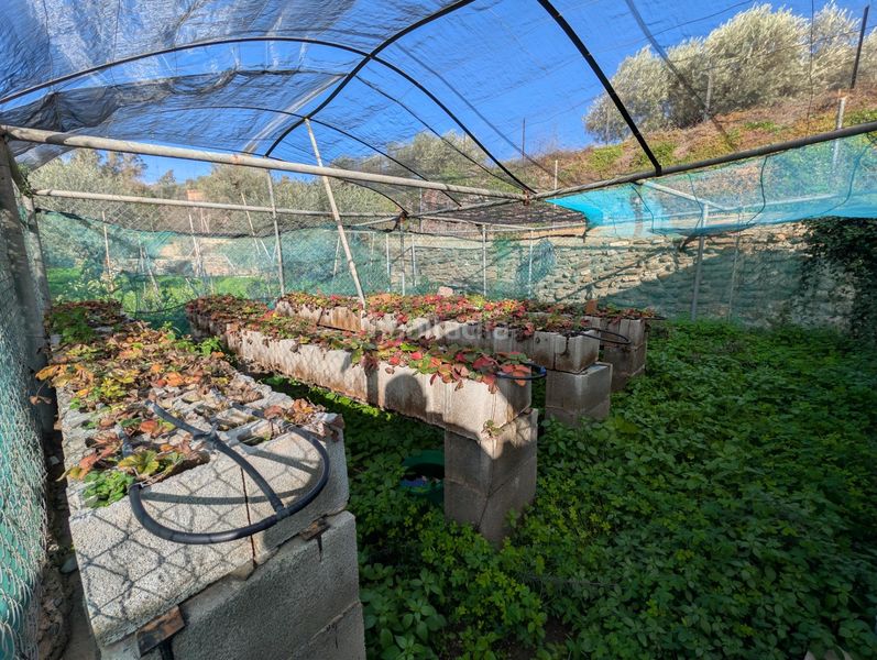 Foto 1a28674f-e835-4eaf-a502-1e70b0abe2fb. Masia amb aparcament piscina a Órgiva