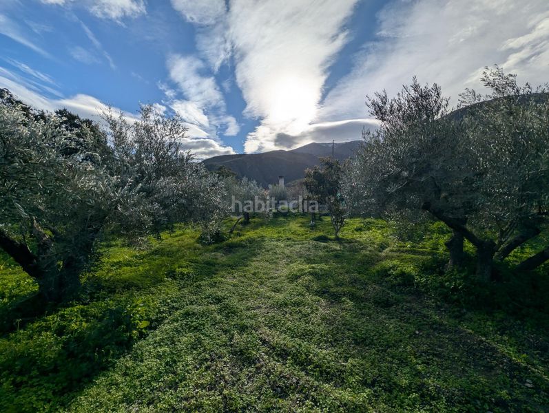 Foto 3d552b78-1f20-407c-9334-925cbc26c9f8. Masia amb aparcament piscina a Órgiva