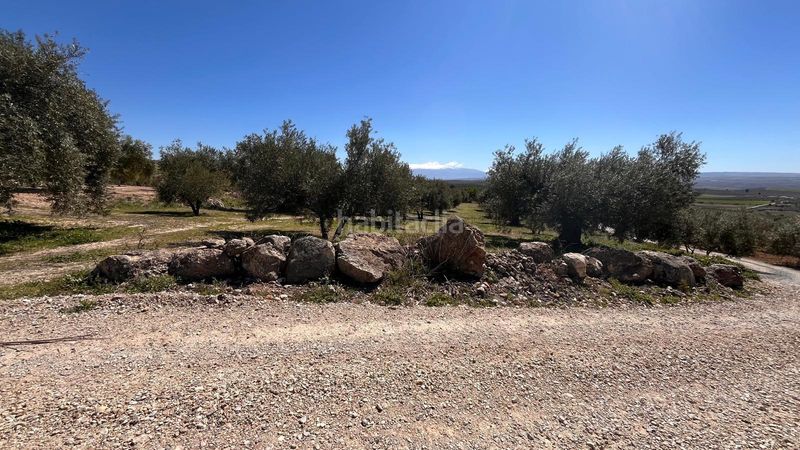 Foto 01137b31-9c4c-4020-8928-f16dca6743d0. Finca rústica a Íllora