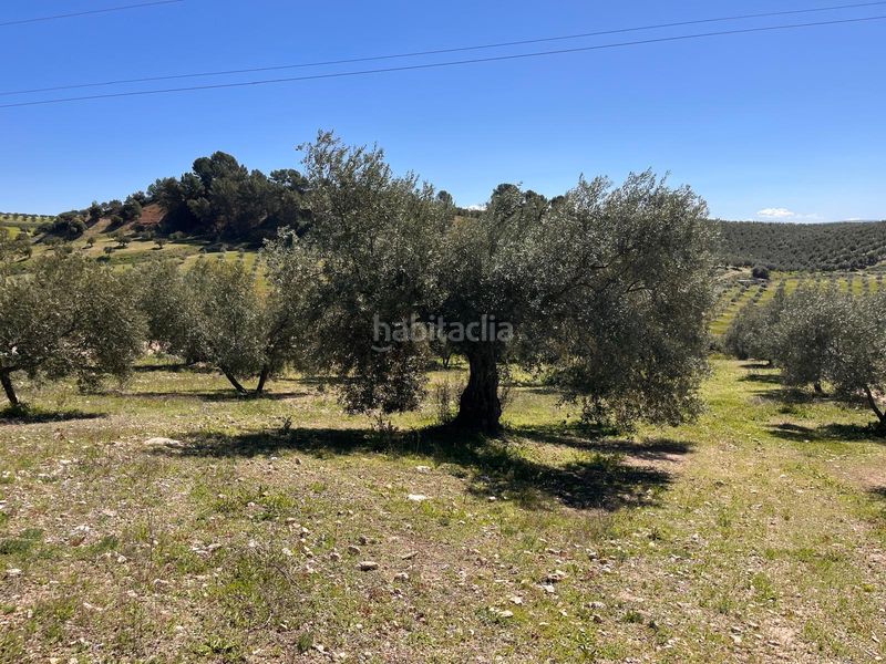 Foto 42bad9f8-97fe-4856-81a1-403244100372. Finca rústica a Íllora