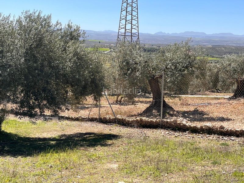 Foto 44f0c345-b97a-405a-8b8e-43066019afda. Finca rústica a Íllora
