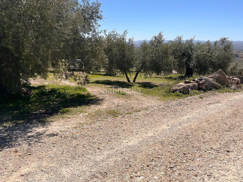 Foto c407dc97-4819-4950-bd98-b8c31913c7d5. Finca rústica a Íllora