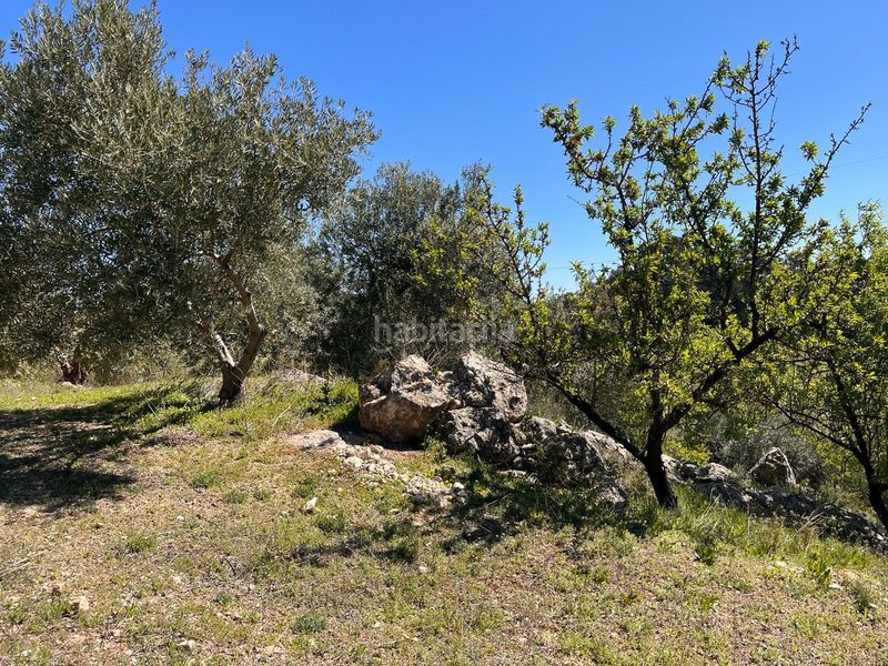 Foto e831fa79-af9b-4e97-899e-93b22af33e87. Finca rústica a Íllora