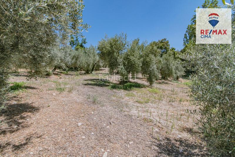 Foto 1f286c8a-eca8-4e4f-bdab-007f70c4dd24. Finca rústica en camino diseminados 41 fincas en cazorla en Iruela (La)
