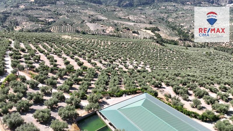 Foto 1ffd4579-39c4-4654-8304-b00431985d09. Finca rústica en camino diseminados 41 fincas en cazorla en Iruela (La)